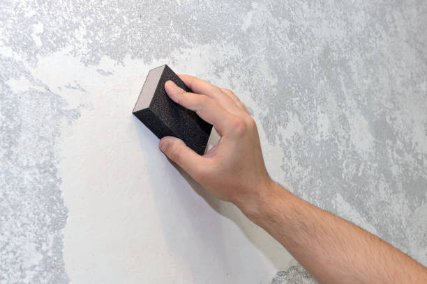 Best Indoor Air Quality Assessment  in Cane Savannah, SC
