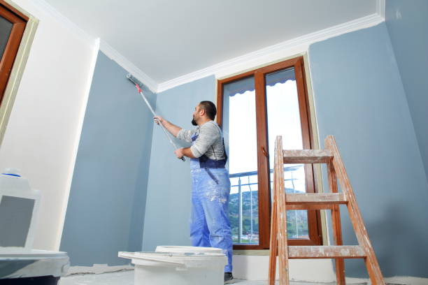 Best Industrial Mold Remediation  in Cane Savannah, SC