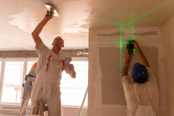 Best Dehumidification Services  in Cane Savannah, SC