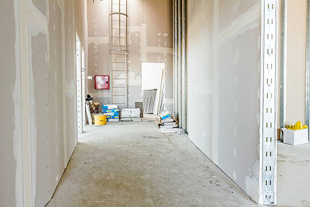 Best Mold Removal for HVAC Installations  in Cane Savannah, SC