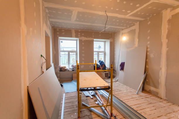 Best Industrial Mold Remediation  in Cane Savannah, SC