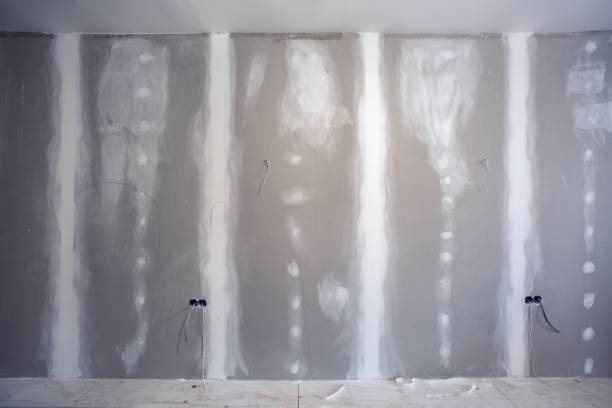 Best Air Quality Testing for Mold Spores  in Cane Savannah, SC